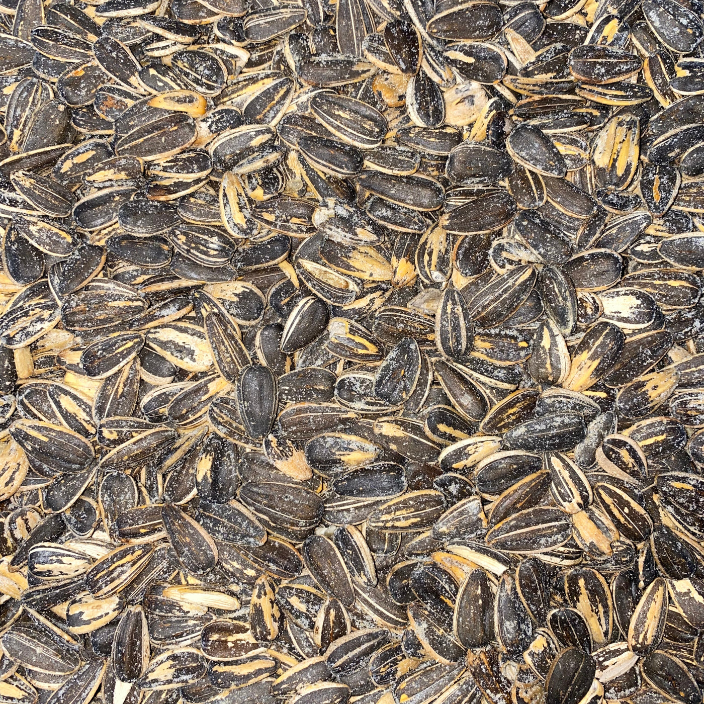 Sunflower Seeds